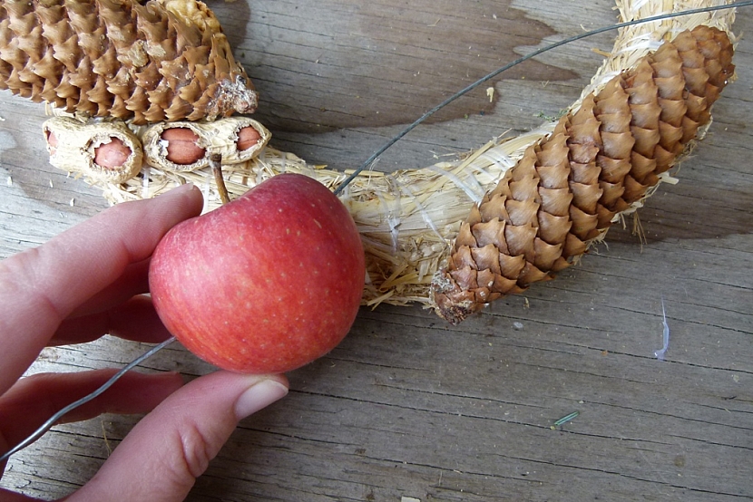Věnec s ořechy jako krmítko pro ptáky: připevněte ovoce