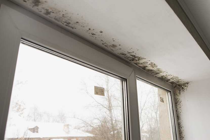 Častou příčinou vzniku plísně v okolí oken je nesprávně větrání
