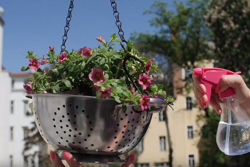 DIY závěsný květináč: cedník zavěste