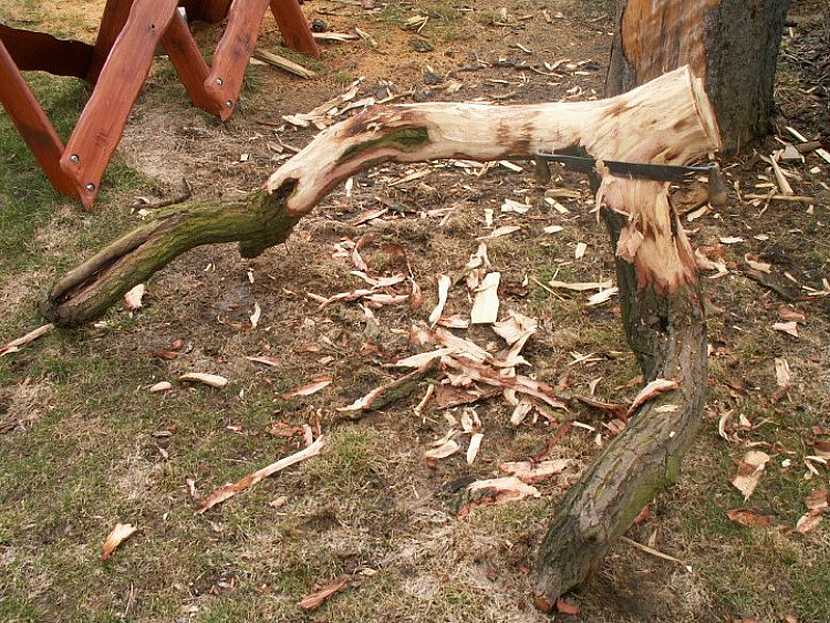 Nezahazujte velkou větev z pokáceného stromu. Vyrobte si z ní zahradní lavici podle jednoduchého návodu.