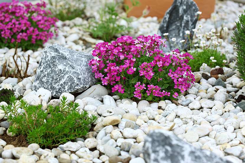 Drobné rostliny můžete doplnit menšími samostatnými kameny