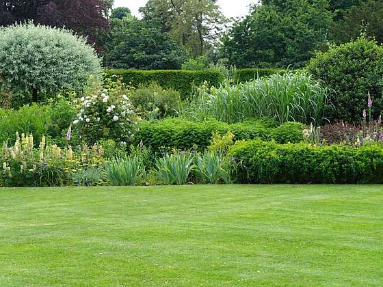 otevřít: Výhody a nedostatky různých typů trávníku