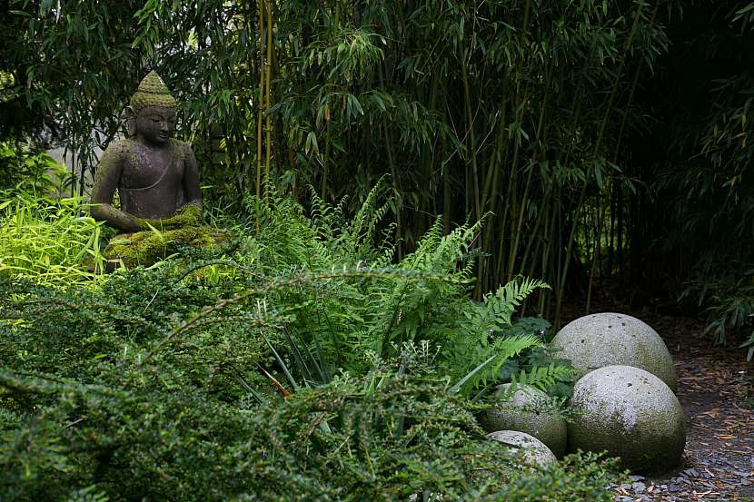 Zeleň a dekorace meditačního koutku (Zdroj: Daniela Dušková)