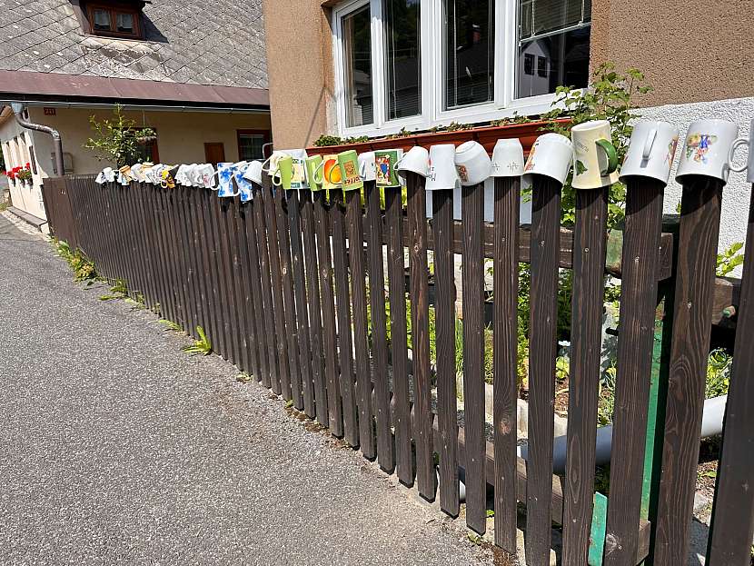 Zajímavý plot si můžete udělat třeba z živých rostlin