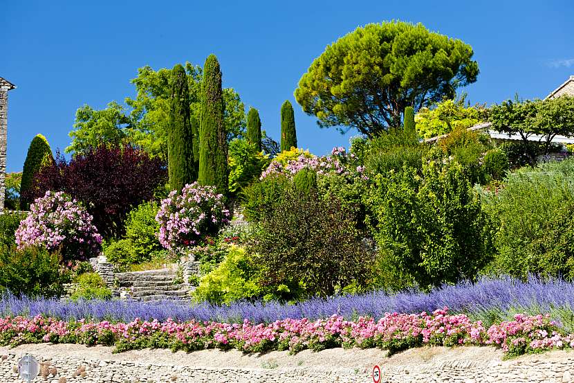 Ty „pravé“ zahrady v Provence stylu jsou pojem a sní o nich mnoho milovníků přírody a zahrádkaření (Zahrada: Depositphotos (https://cz.depositphotos.com))