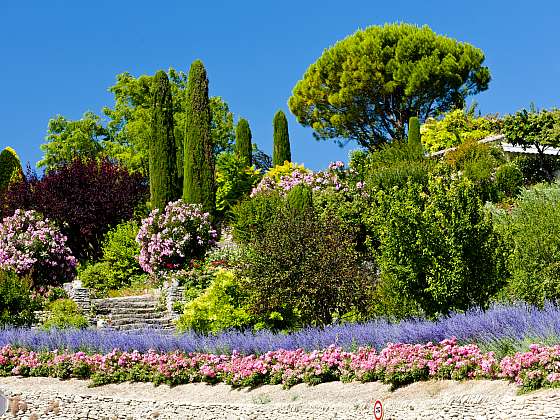 Ty „pravé“ zahrady v Provence stylu jsou pojem a sní o nich mnoho milovníků přírody a zahrádkaření (Zahrada: Depositphotos (https://cz.depositphotos.com))