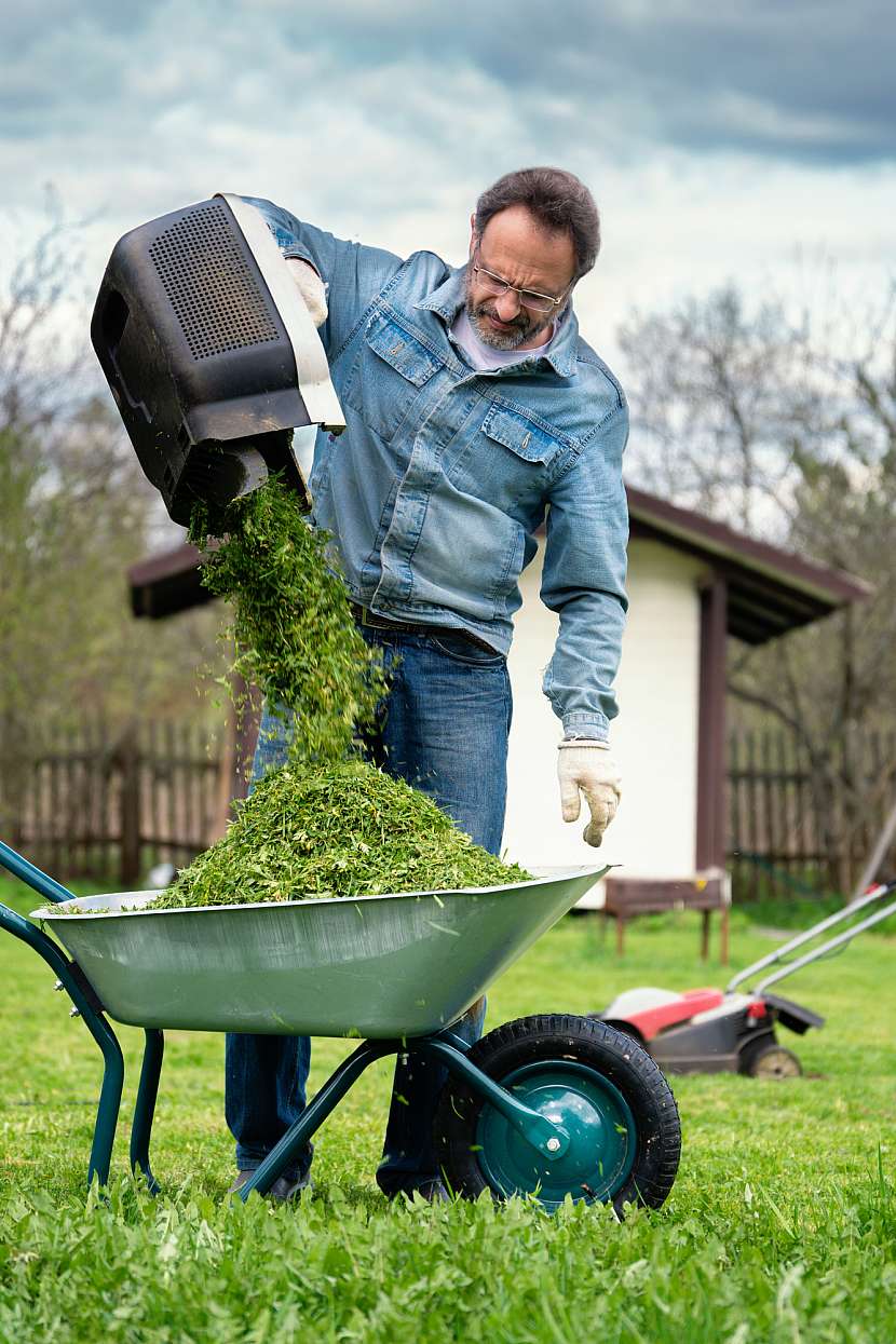 Posekaná tráva poslouží jako mulč