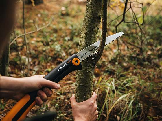 Zimní prořez stromů a keřů (Zdroj: Fiskars)