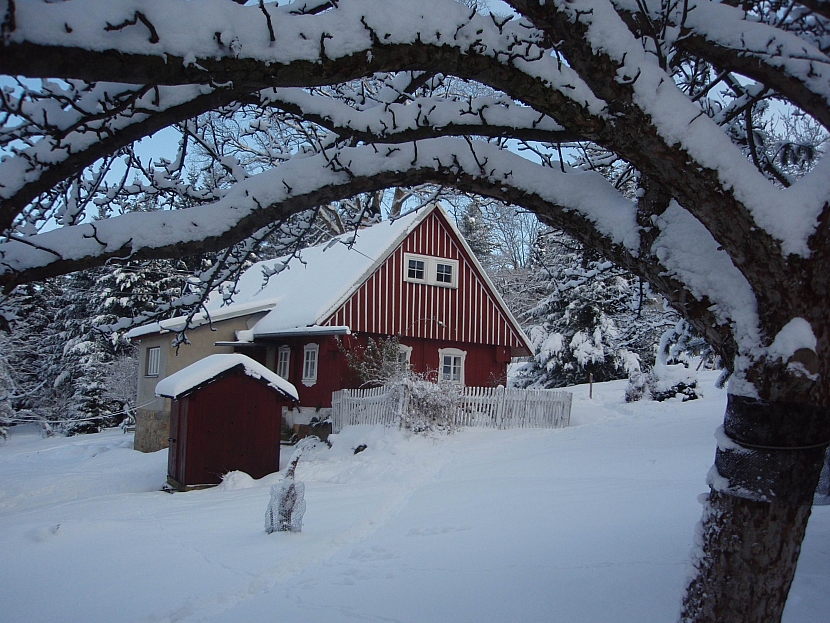 Dům a sníh