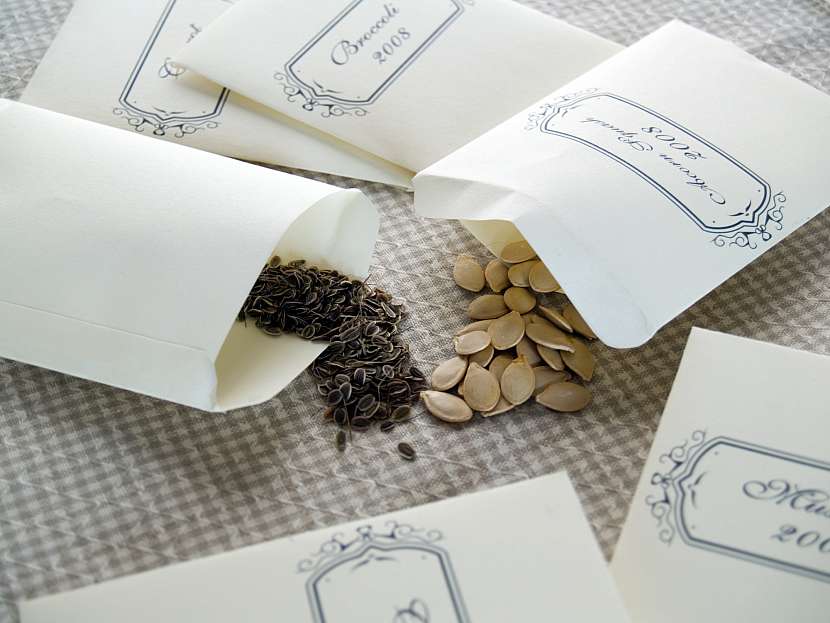 Semena uchovávejte nejlépe v papírových nebo látkových sáčcích