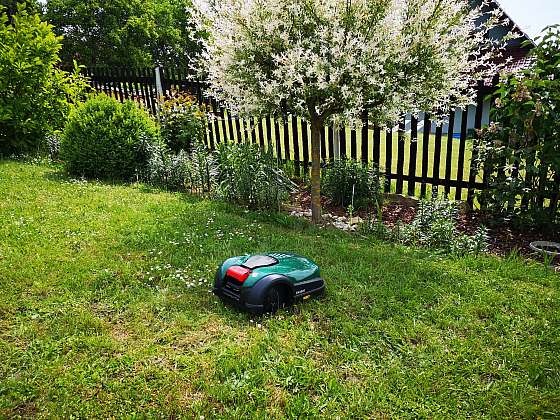Pusťte si na zahradu robota, bude za vás pravidelně sekat (Zdroj: Pavlína Wagnerová Málková)