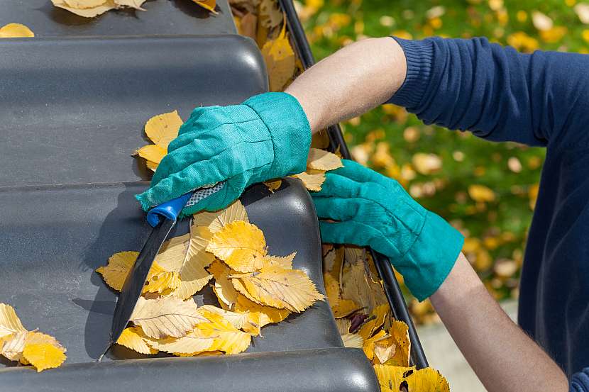 Vyčistěte okapy či zahradní jezírka od napadaného listí
