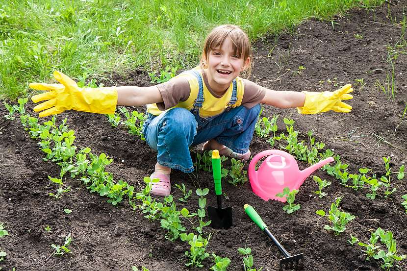 S výsadbu rané zeleniny rády pomohou i děti, mohou ji třeba zalévat