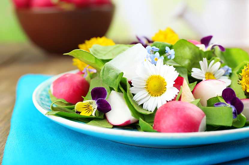 Experimentujte s jedlými květy (Zdroj: Depositphotos)