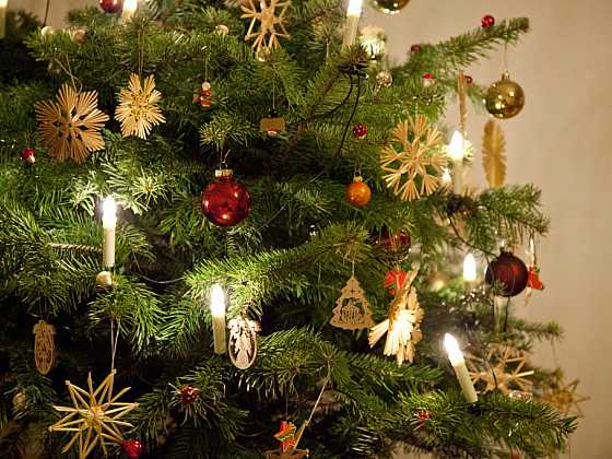 Vánoční stromek od kutila (Zdroj: Depositphotos)