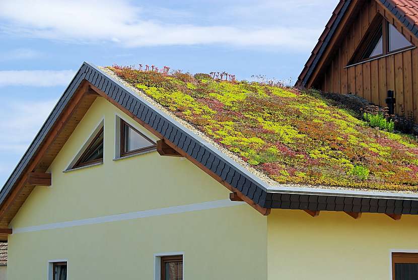 Zelenou střechu musíte především vhodně naplánovat (Zdroj: Depositphotos (https://cz.depositphotos.com))