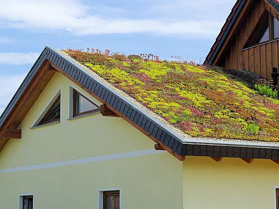 Zelenou střechu musíte především vhodně naplánovat (Zdroj: Depositphotos (https://cz.depositphotos.com))