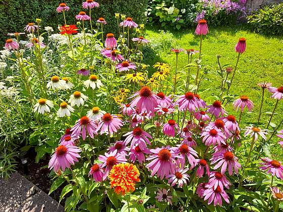 otevřít: Jak vypadá tradiční česká zahrada? Najdete zde kombinaci krásy i účelnosti