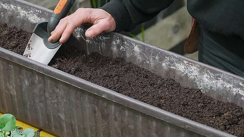 Výsev semen je možné na podzim provádět i do uvolněných truhlíků