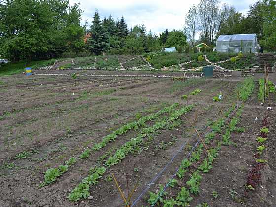Komunitní zahrada je moderní způsob zemědělství (Zdroj: Petra Fajfrová)