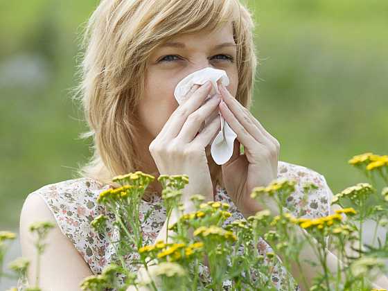 Pro alergiky začíná těžké období plné kýchání, smrkání a velké únavy (Zdroj: Depositphotos)