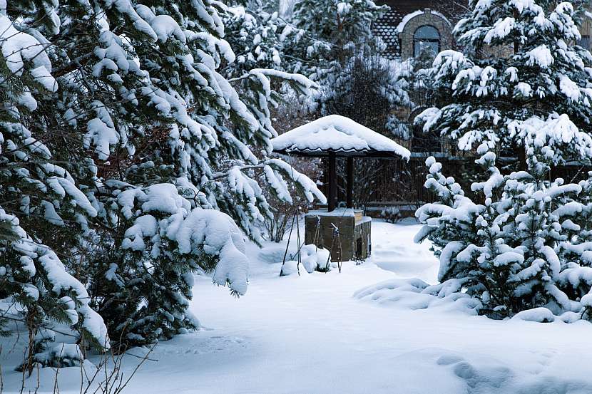 Zimní období se sněhem je malebné, nezapomeňte ale sníh pod stromy nahrnout