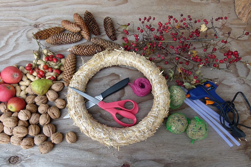 Věnec s ořechy jako krmítko pro ptáky: co budete potřebovat