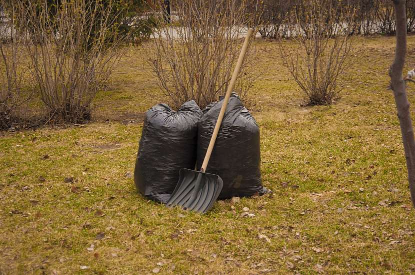 V černých pytlích do několika let dozraje unikátní listovka