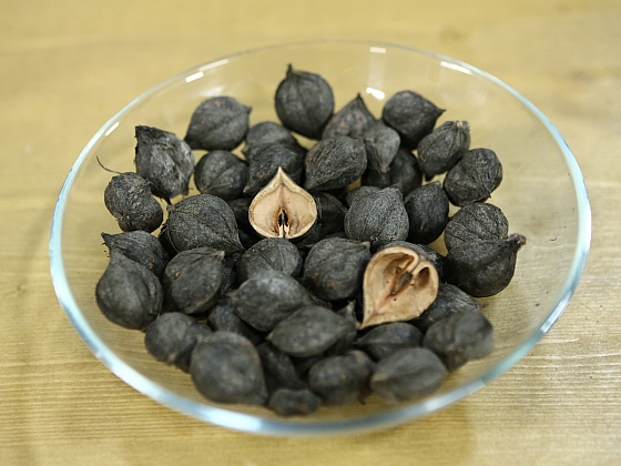 Jak pěstovat odrůdy japonských ořechů