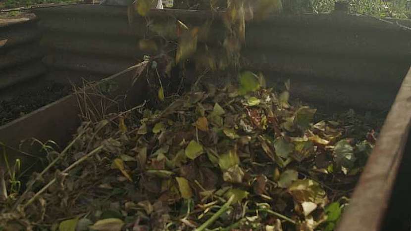 Sesbírané listí uložte do kompostu