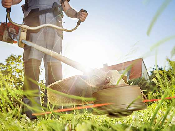 Kdy se na zahradě vyplatí křovinořez a podle čeho jej vybrat