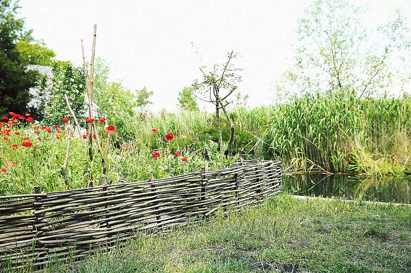 Biologická ochrana ovoce a zeleniny bude snazší v přirozeném prostředí