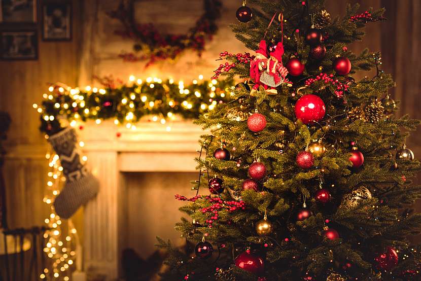 Zdobení stromku patří k vánočním tradicím, umíte si však vybrat takový, aby příliš brzy neopadal? (Zdroj: Depositphotos (https://cz.depositphotos.com))