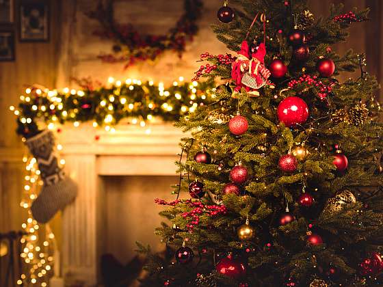 Zdobení stromku patří k vánočním tradicím, umíte si však vybrat takový, aby příliš brzy neopadal? (Zdroj: Depositphotos (https://cz.depositphotos.com))