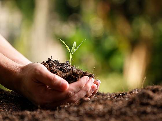 otevřít: Stačí změnit přípravu záhonů a půda začne pracovat za vás