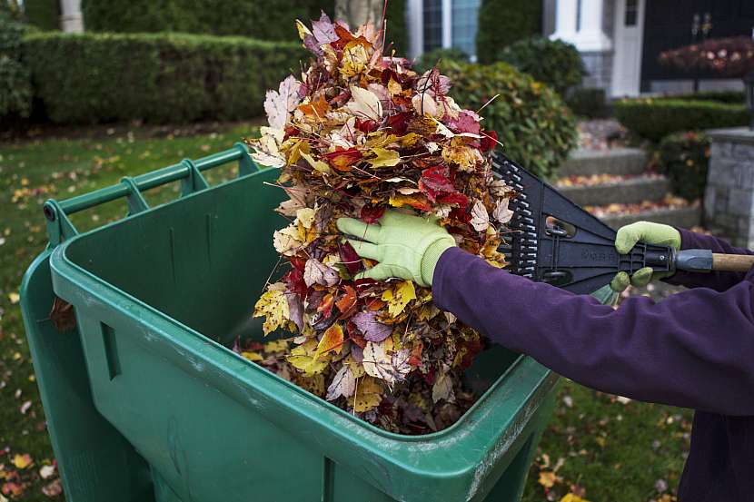 Listí z nemocných nebo napadených stromů nepoužívejte v zahradě, odložte jej do kontejneru na bioodpad