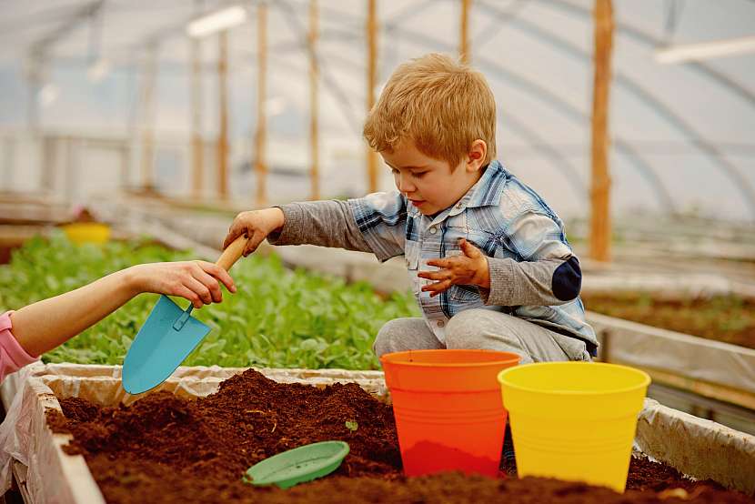 Výsevy, výsadby rostlin a sledování růstu patří k tomu, co děti velmi zajímá