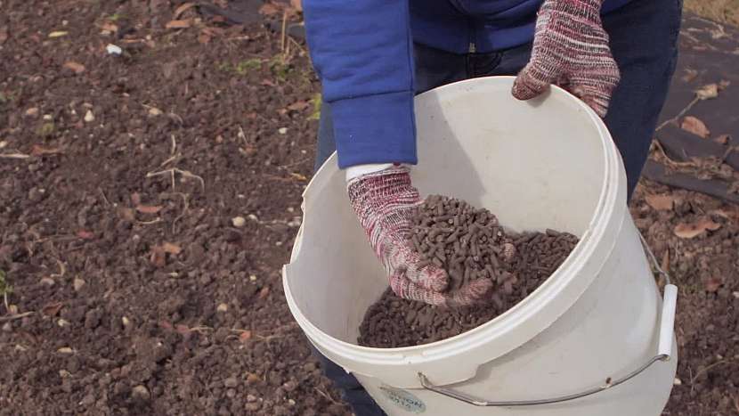 Místo hnoje můžete použít granulované hnojivo