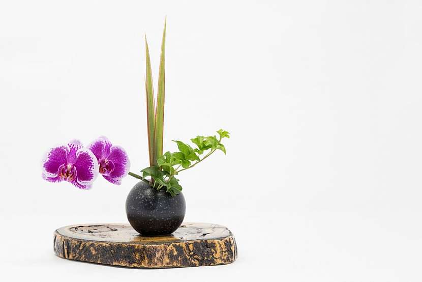 Ikebana aneb Interiérové aranžmá v japonském stylu 