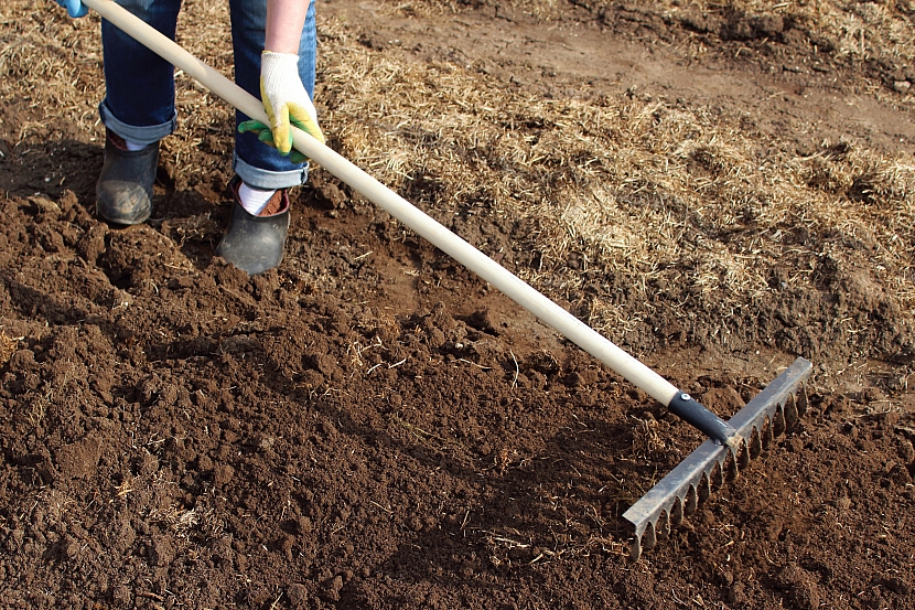 Kypření půdy pomocí hrábí je vynikající příležitost pro zapravení živin (Zdroj: Depositphotos)