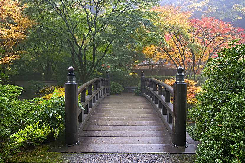 Japonské zahrady můžete mít i v české vesnici (Zdroj: Depositphotos (https://cz.depositphotos.com))