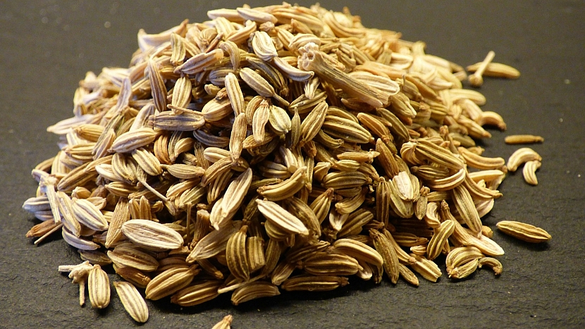 Domácí repelenty proti klíšťatům: fenyklová semínka