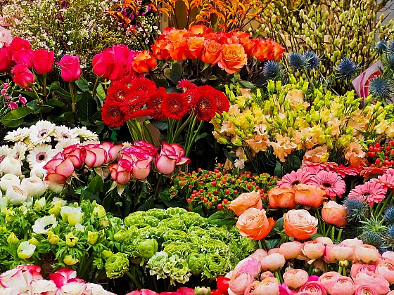 otevřít: Květomluva pro zamilované: Nechte za sebe mluvit květiny