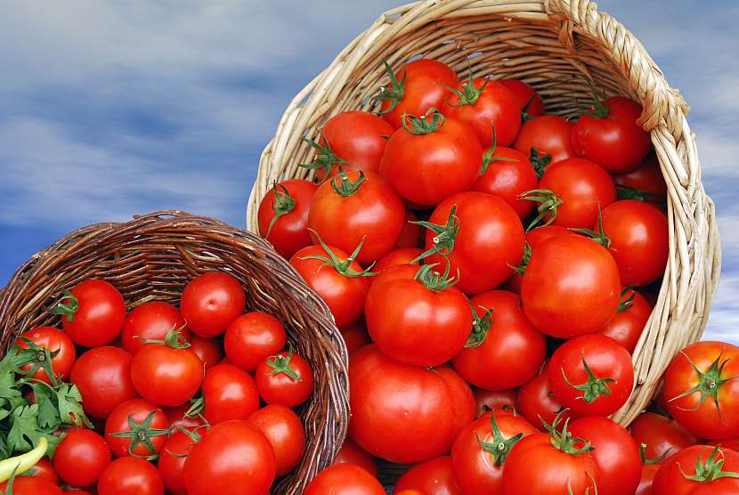 Vypěstujte si krásná zdravá rajčata (Zdroj: Depositphotos (https://cz.depositphotos.com))