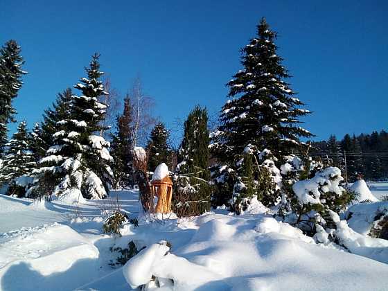 Dřeviny v zimě ohrožuje okus zvěř, sníh a mráz (Zdroj: Jan Kopřiva)