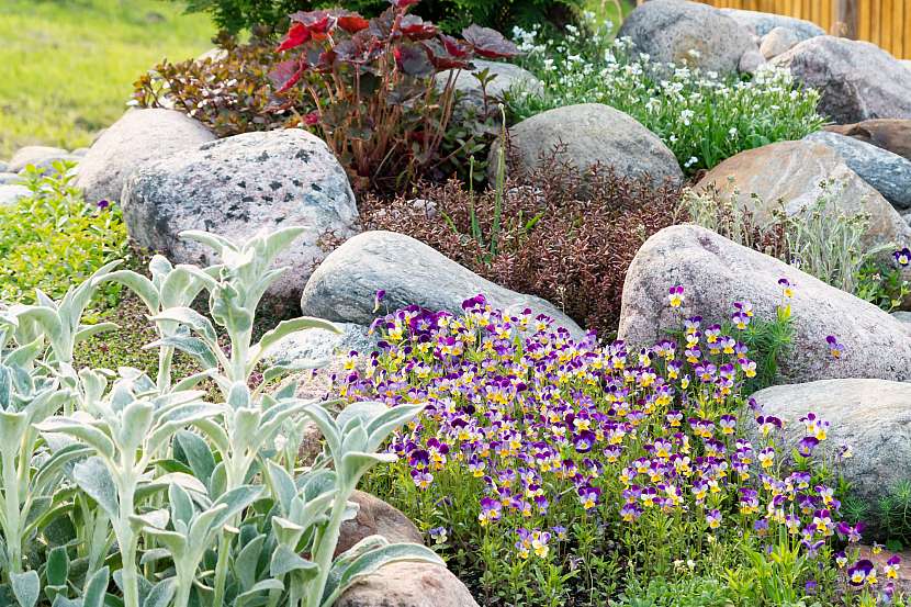 Založení skalky zvládnete i na posledním kousku vaší zahrady (Zdroj: Depositphotos (https://cz.depositphotos.com))