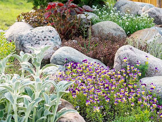 Založení skalky zvládnete i na posledním kousku vaší zahrady (Zdroj: Depositphotos (https://cz.depositphotos.com))
