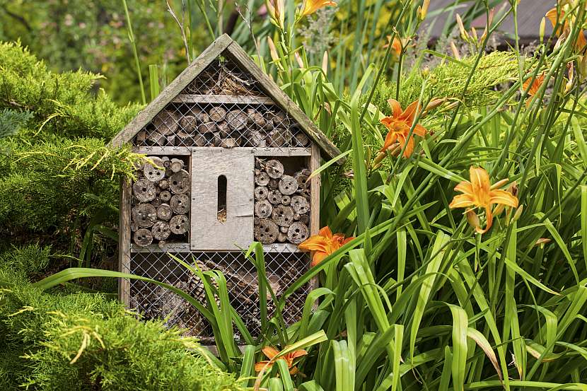 Hmyzí domeček umístíte na libovolné místo, třeba do květinového záhonu