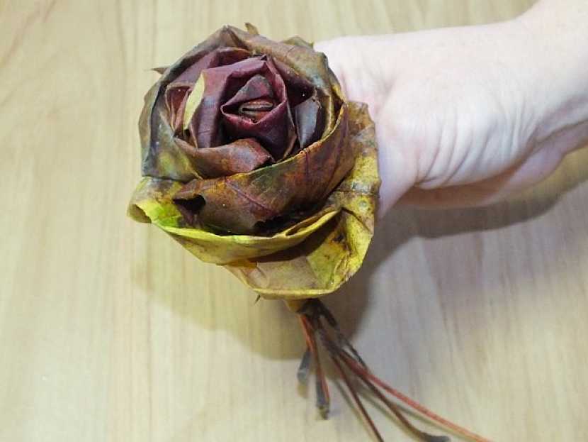 Jak vyrobit růže z listí