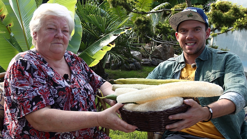 Bohaté zkušenosti s pěstováním a zpracováním lufy má paní Marcela Gurová z Dobříčan u Žatce